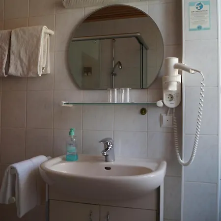 Zur Traube Mini-hôtel 3*