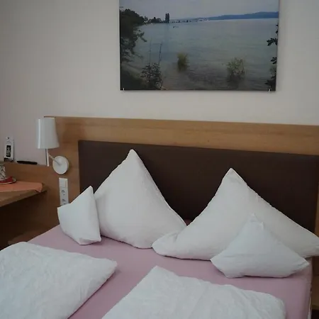 Zur Traube Mini-hôtel