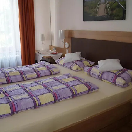 Zur Traube Inn