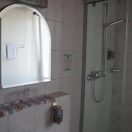Zur Traube Mini-hôtel 3*