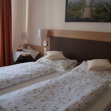 Zur Traube 3* 콘스탄츠