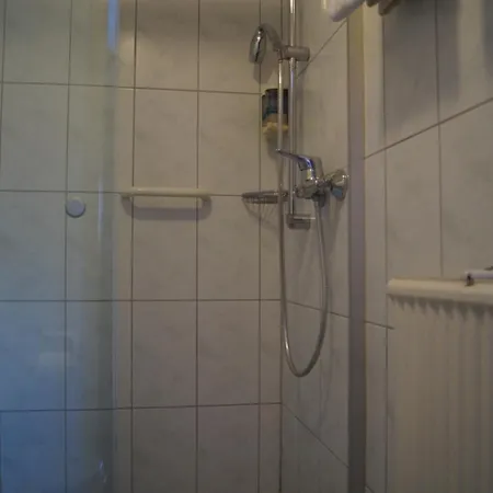 Zur Traube Mini-hôtel 3*