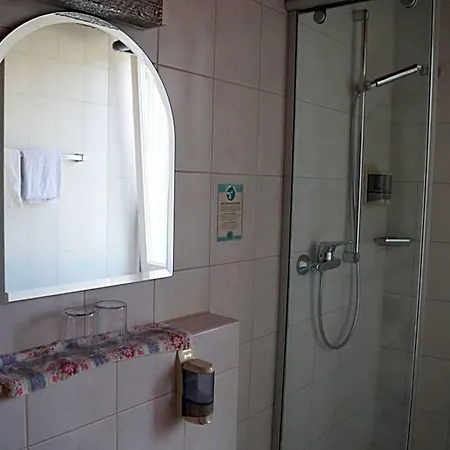 Mini-hôtel Zur Traube 3*