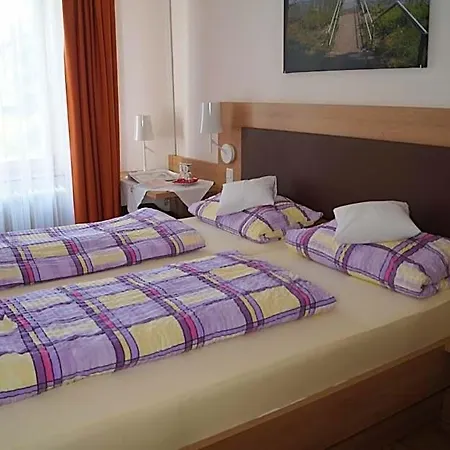 Mini-hôtel Zur Traube