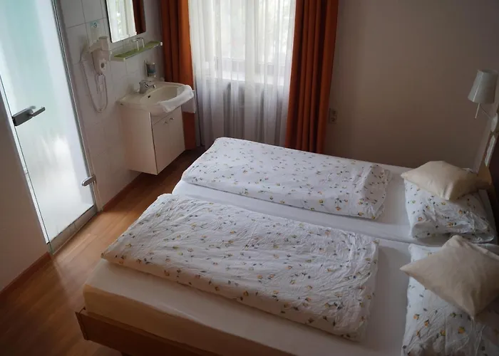 Zur Traube بيت ريفي 3*