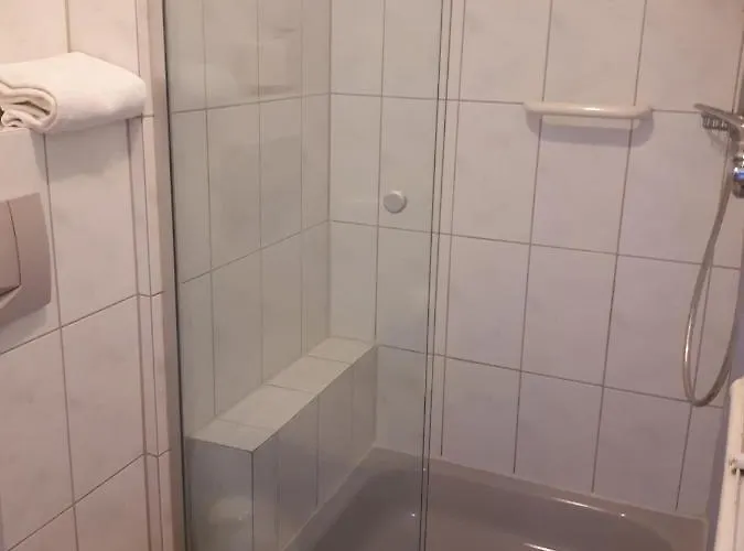 Zur Traube 3* كونستانز