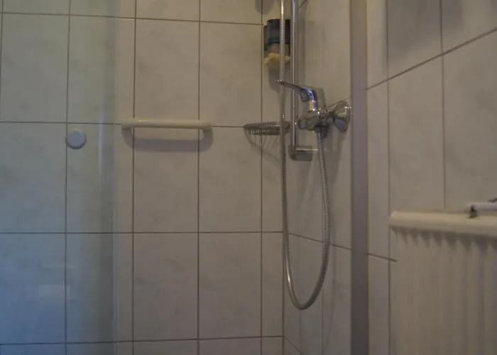 Zur Traube بيت ريفي 3*