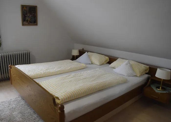 Zur Traube بيت ريفي كونستانز